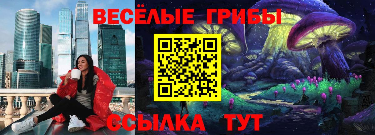 Псилоцибиновые грибы ЛСД Дагестанские Огни