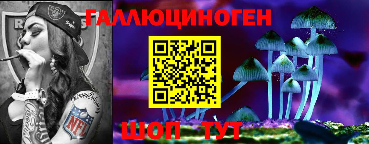 Галлюциногенные грибы прущие грибы  Вход с VPN  дарнет шоп  Дагестанские Огни 